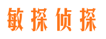 海陵侦探公司